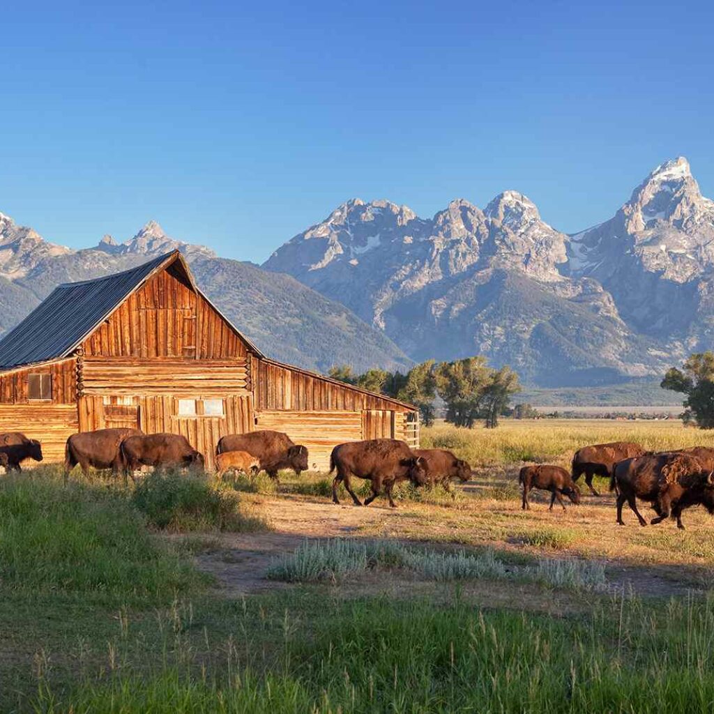 Grand Teton National Park