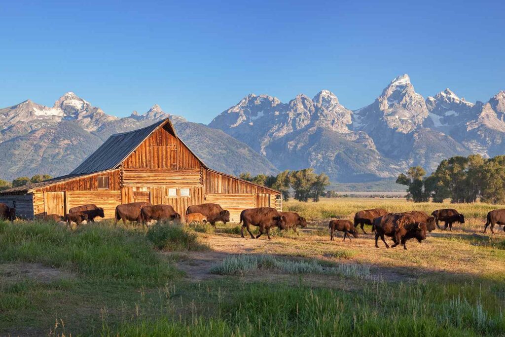 Grand Teton National Park