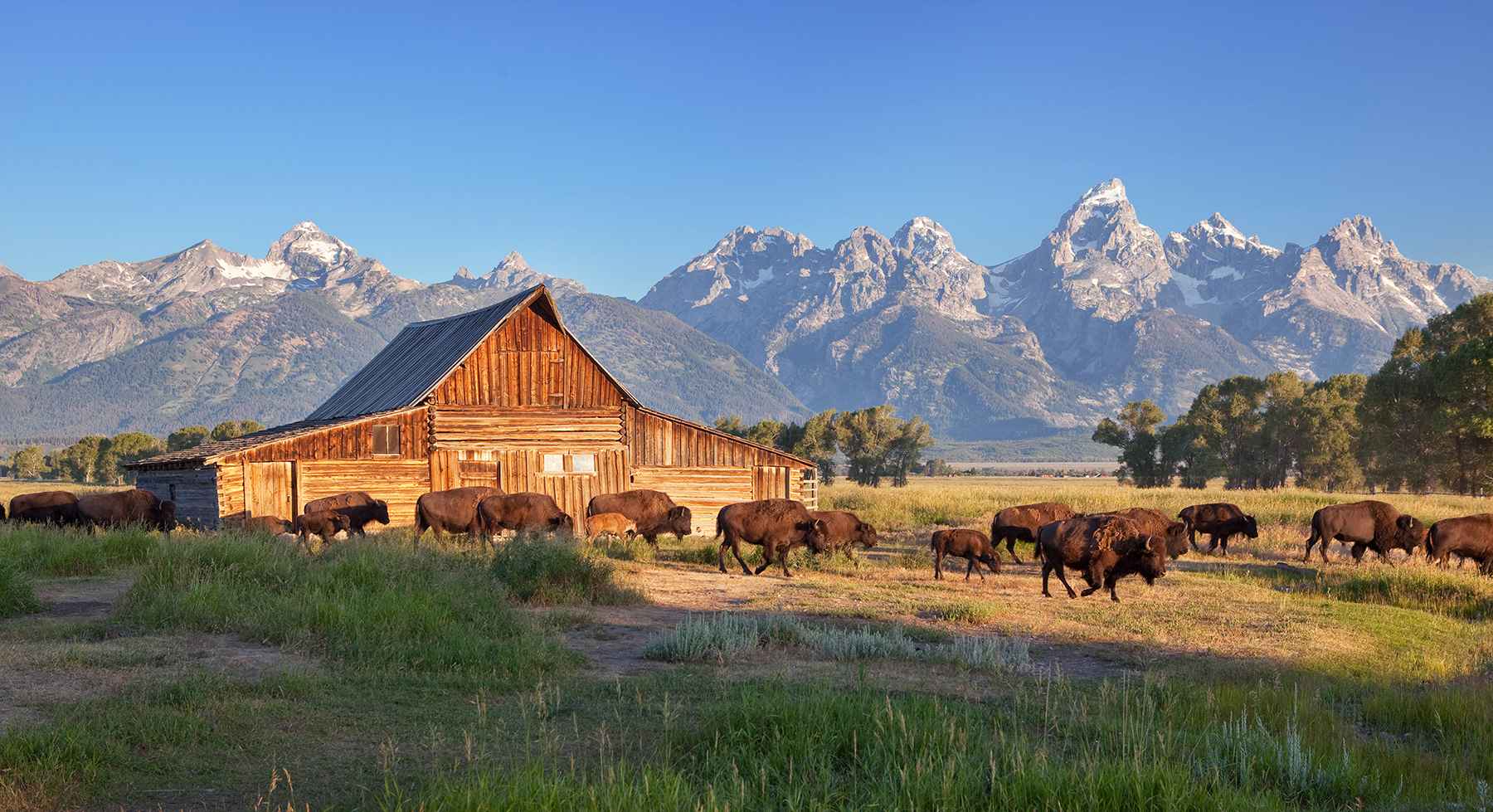 Grand Teton National Park