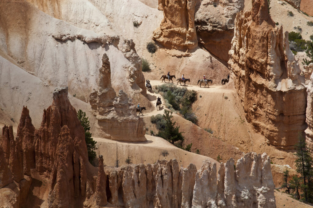 Stunning natural landscapes and horses following a trail in Bryce Canyon National Park