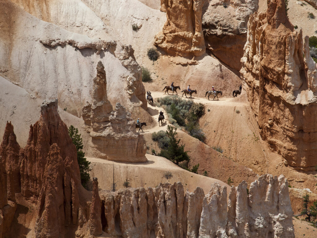 Stunning natural landscapes and horses following a trail in Bryce Canyon National Park