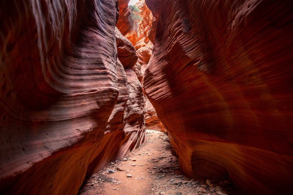 Curved sandstone walls in Red Canyon Slot Aka Peekaboo