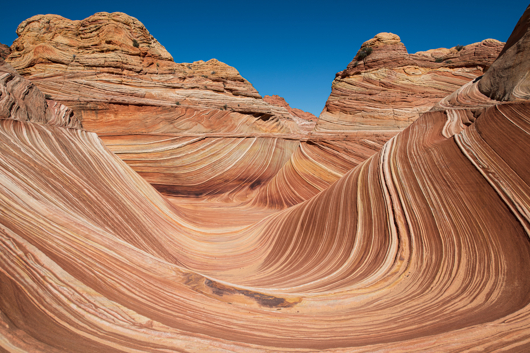 Rock formation seen from the Wave Trail