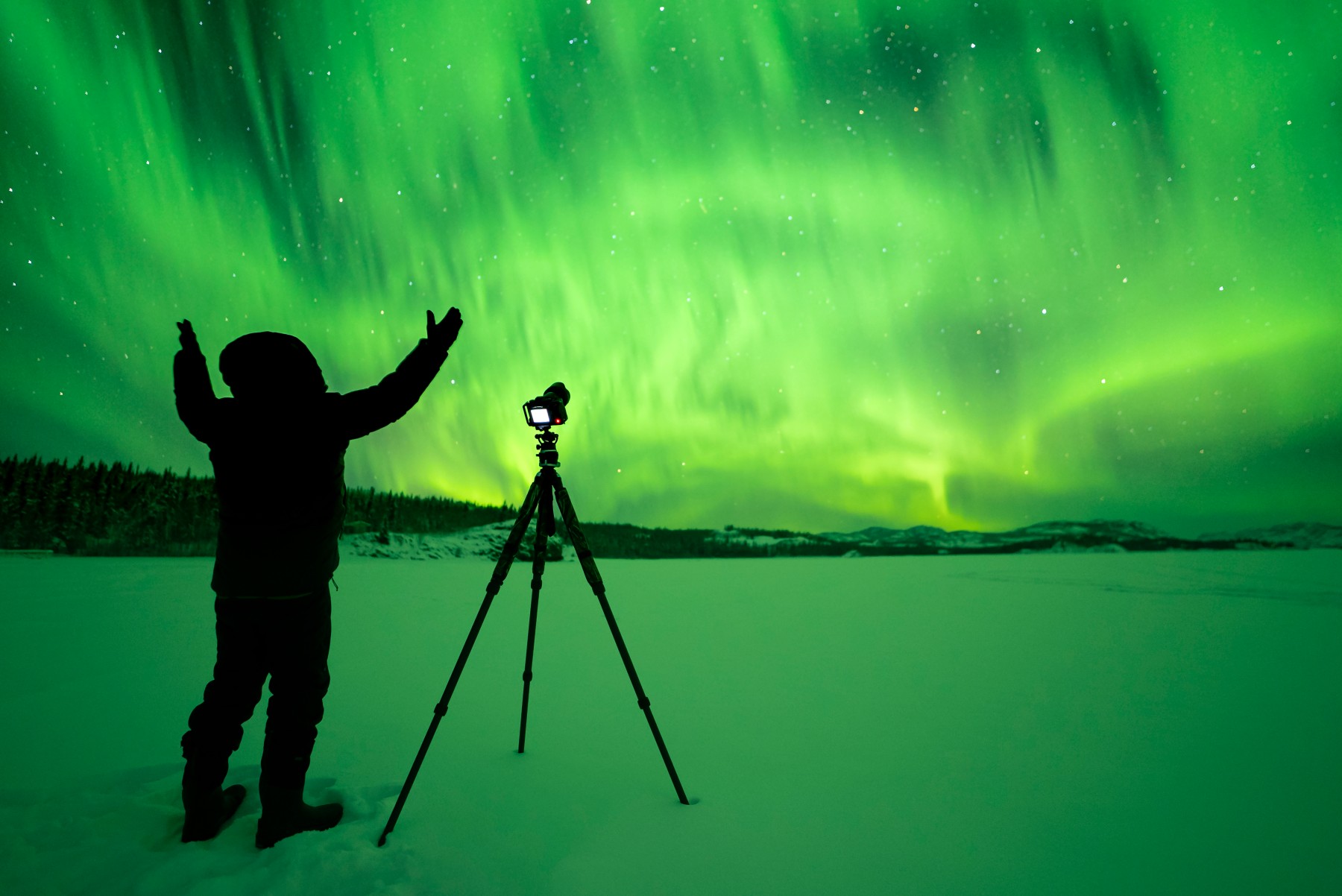 Northern Lights in Yukon