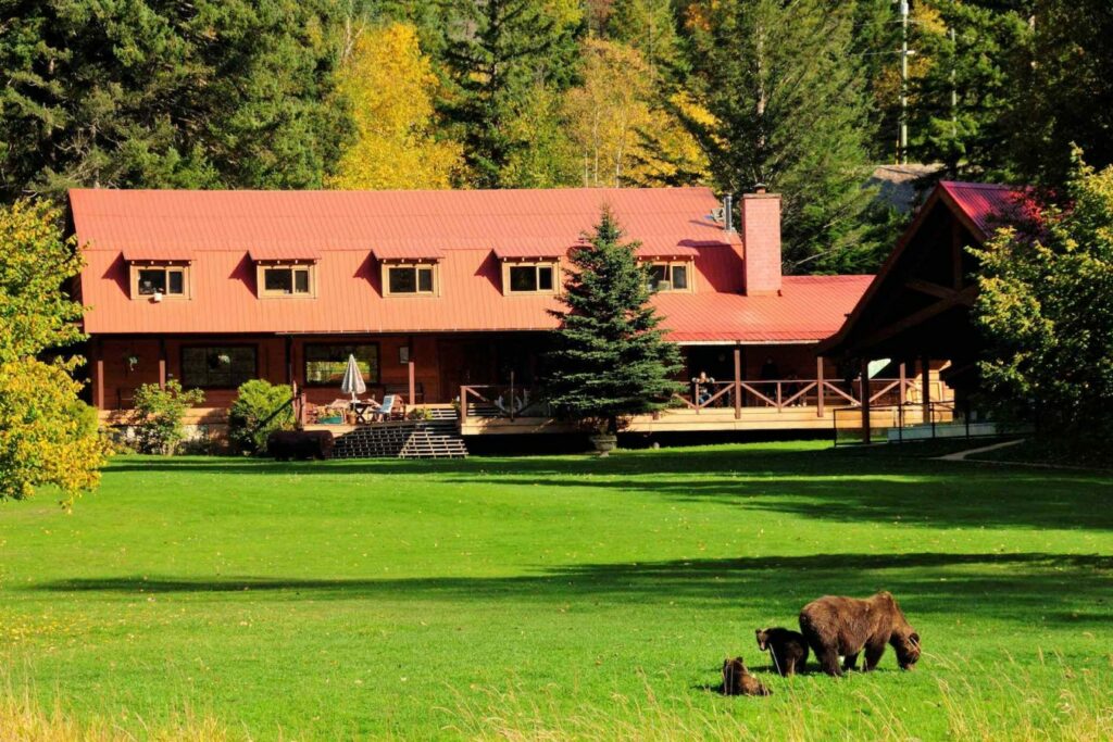 Tweedsmuir Lodge and bears