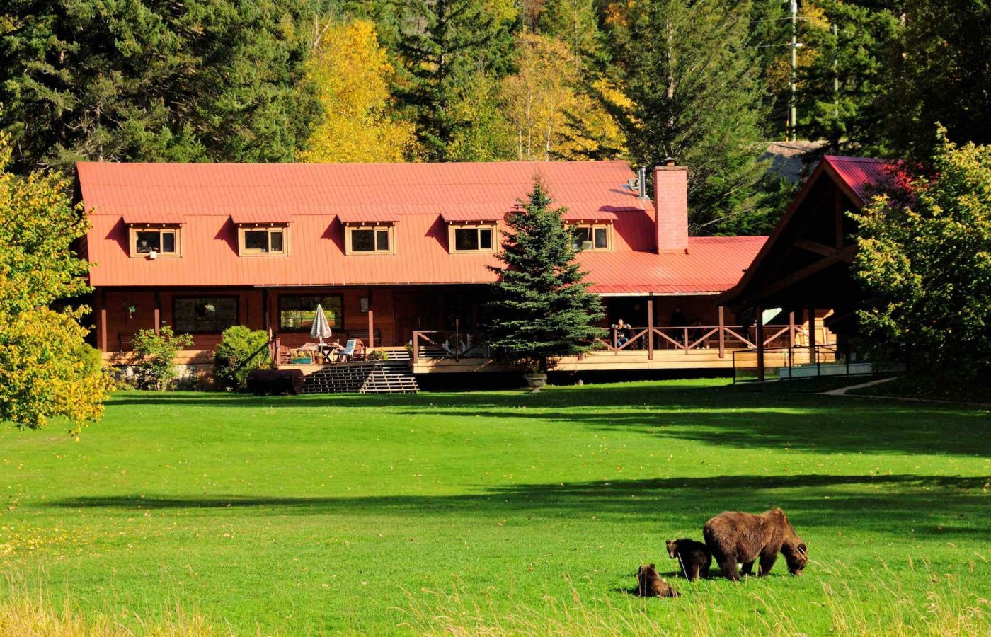 Tweedsmuir Lodge and bears