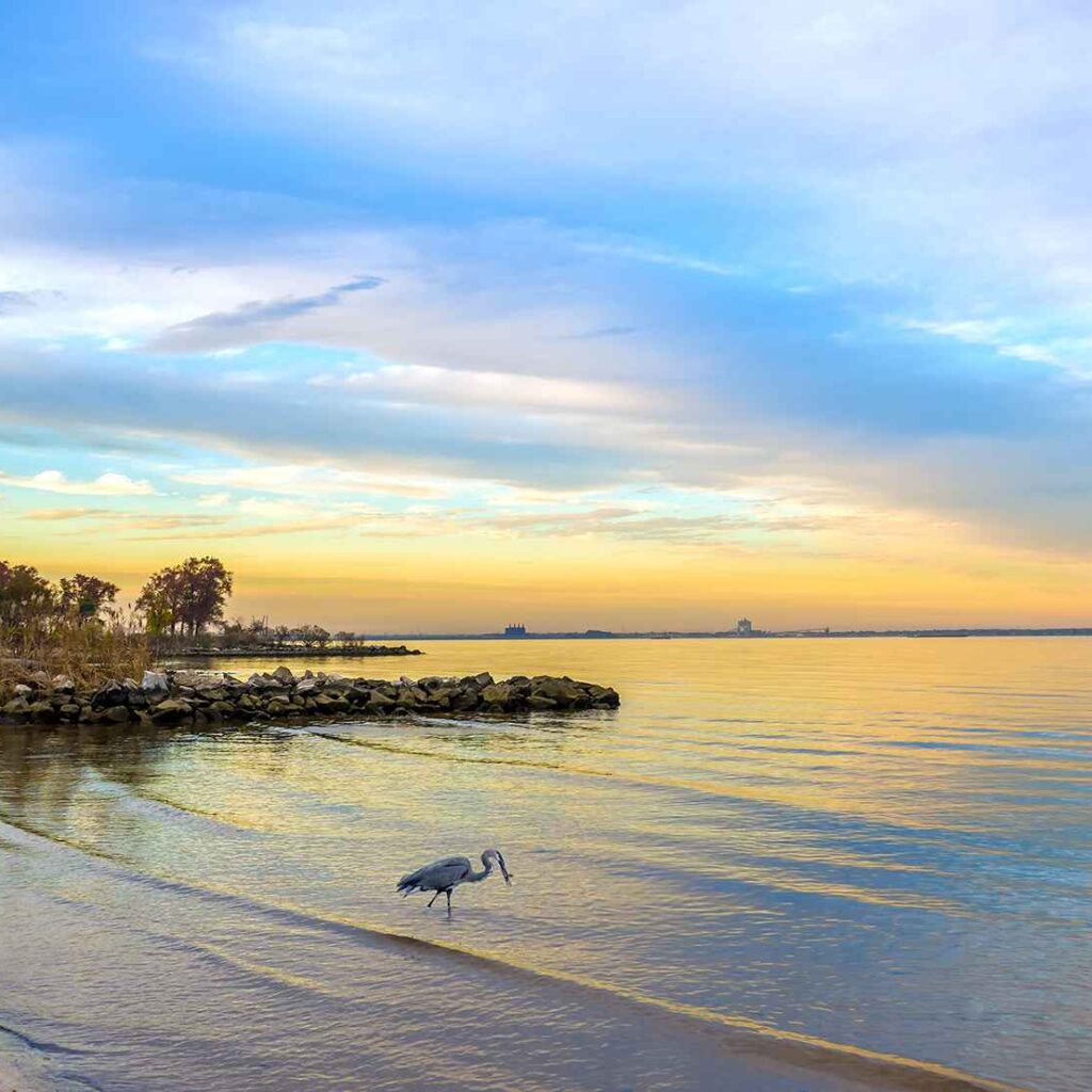 Chesapeake Bay