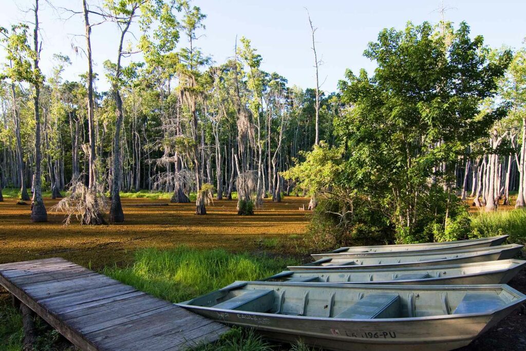 Sam Houston Jones State Park