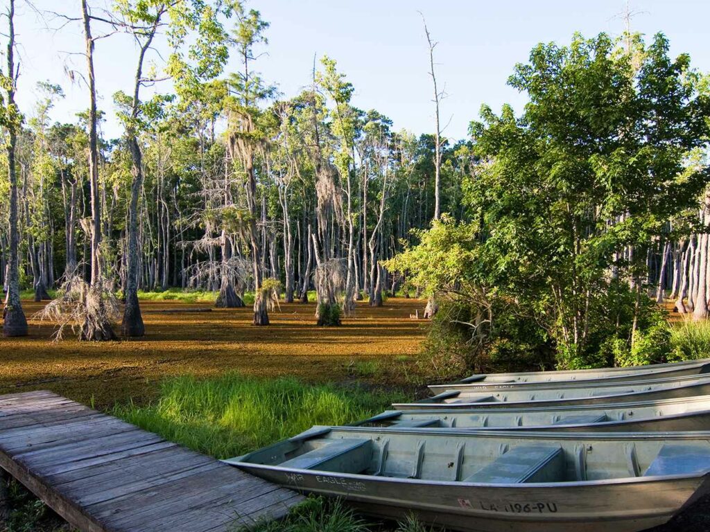 Sam Houston Jones State Park