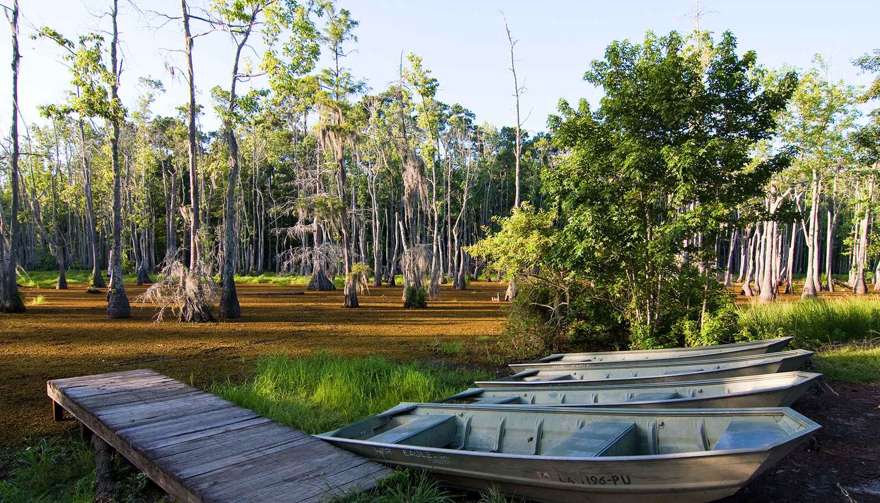 Sam Houston Jones State Park