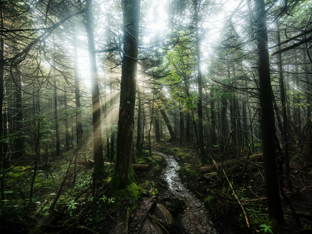 Scenic trail in Catskill, New York State