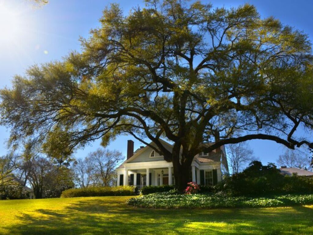 The Burn in Natchez, Mississippi