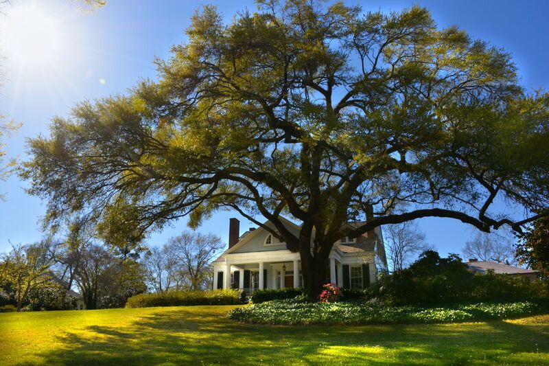 The Burn in Natchez, Mississippi