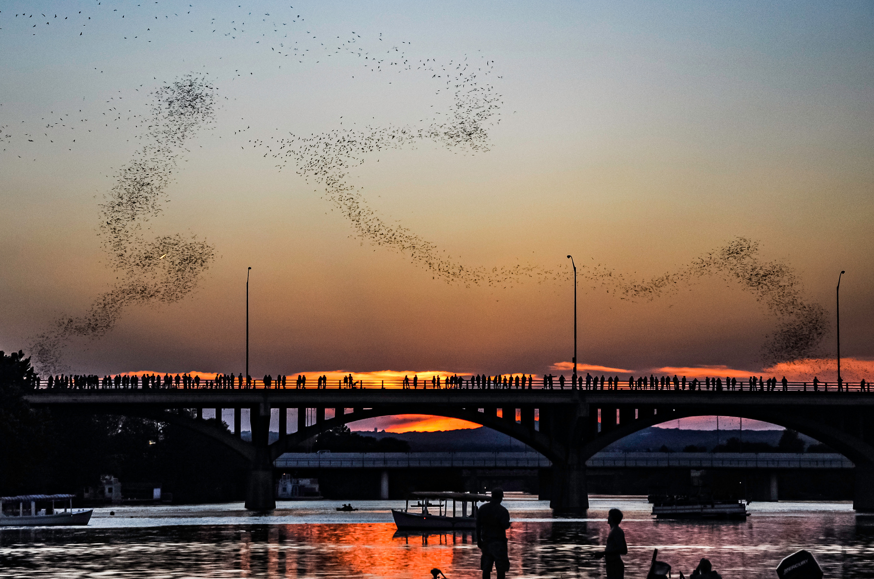 Bats flying out of the Congress Avenue Bridge at dusk