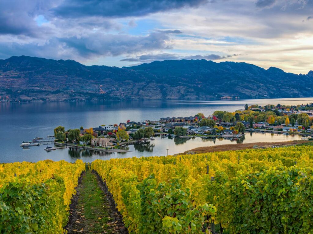 Vineyards overlooking lake in Okanagan Valley