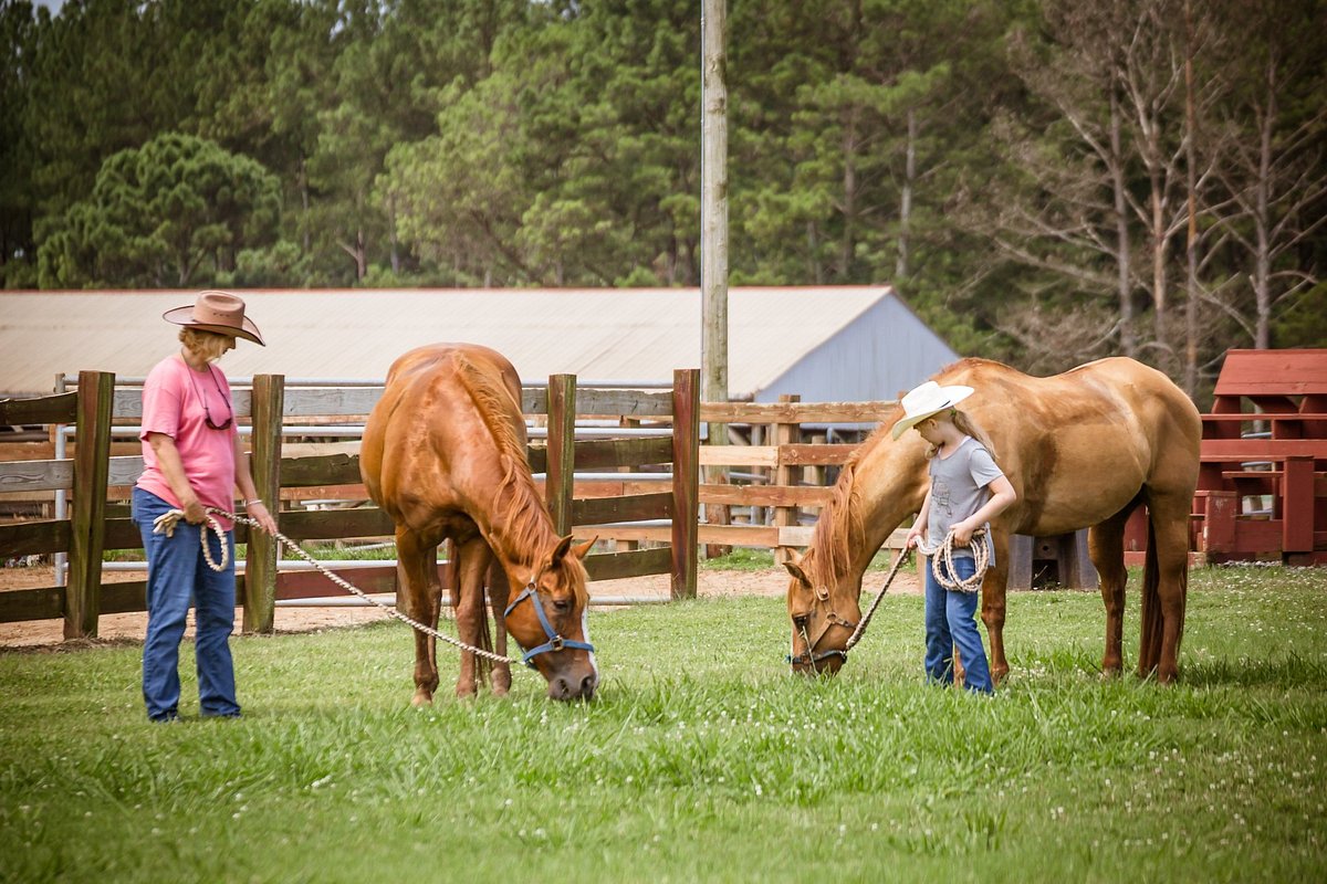 USA_Georgia and the Carolinas__Southern Cross Guest Ranch (6)