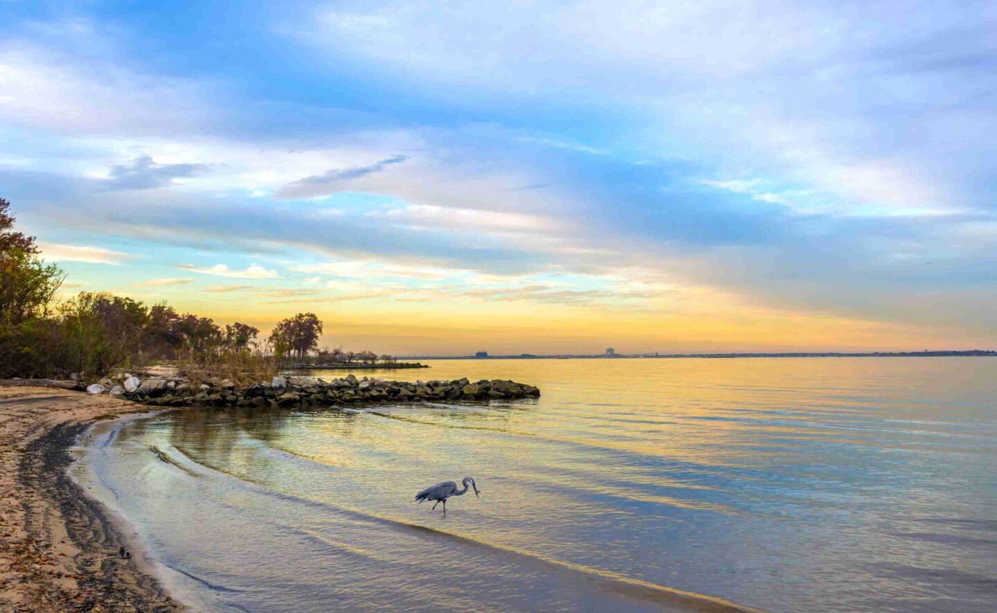 Chesapeake Bay, Capital Region