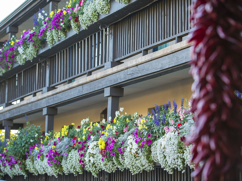 Hotel exterior